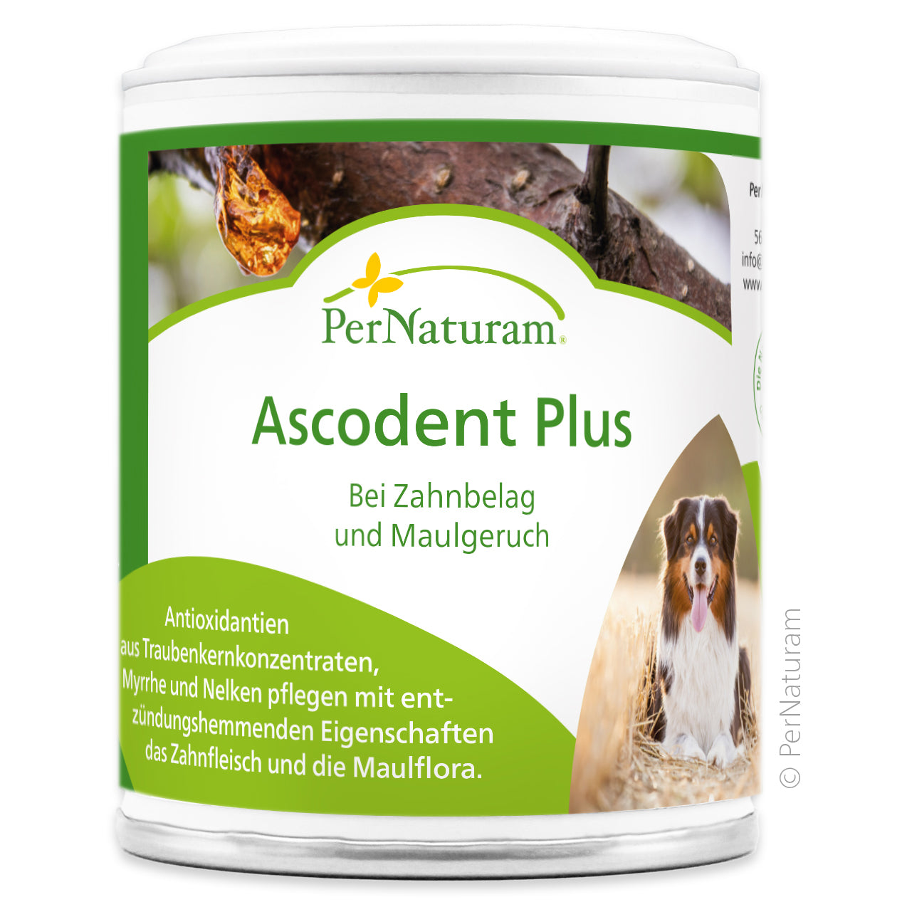 PerNaturam Ascodent Plus 50g