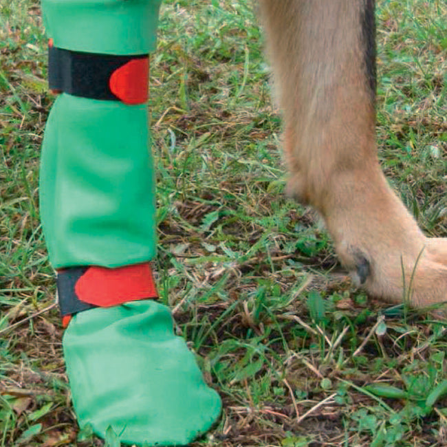 DogGusti Pfotenschutzstiefel für den Hund L