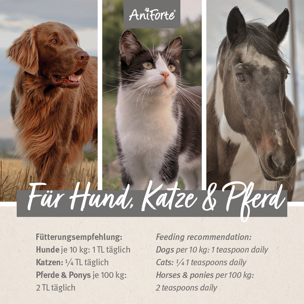 AniForte Lachsöl 5000ml
