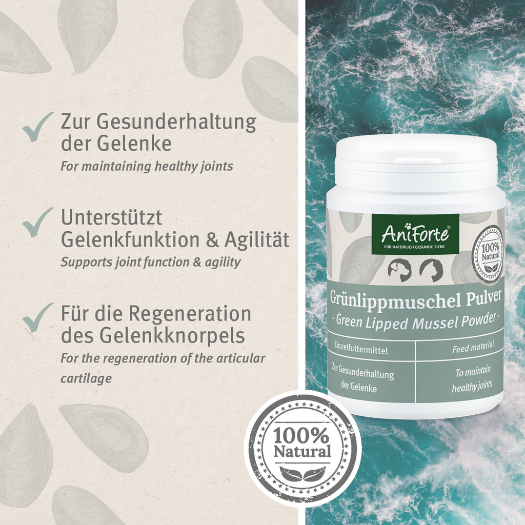 AniForte Grünlippmuschel Pulver 100g