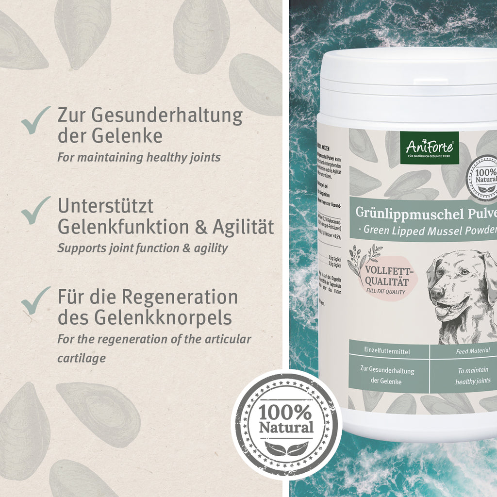 AniForte Grünlippmuschel Pulver 500g