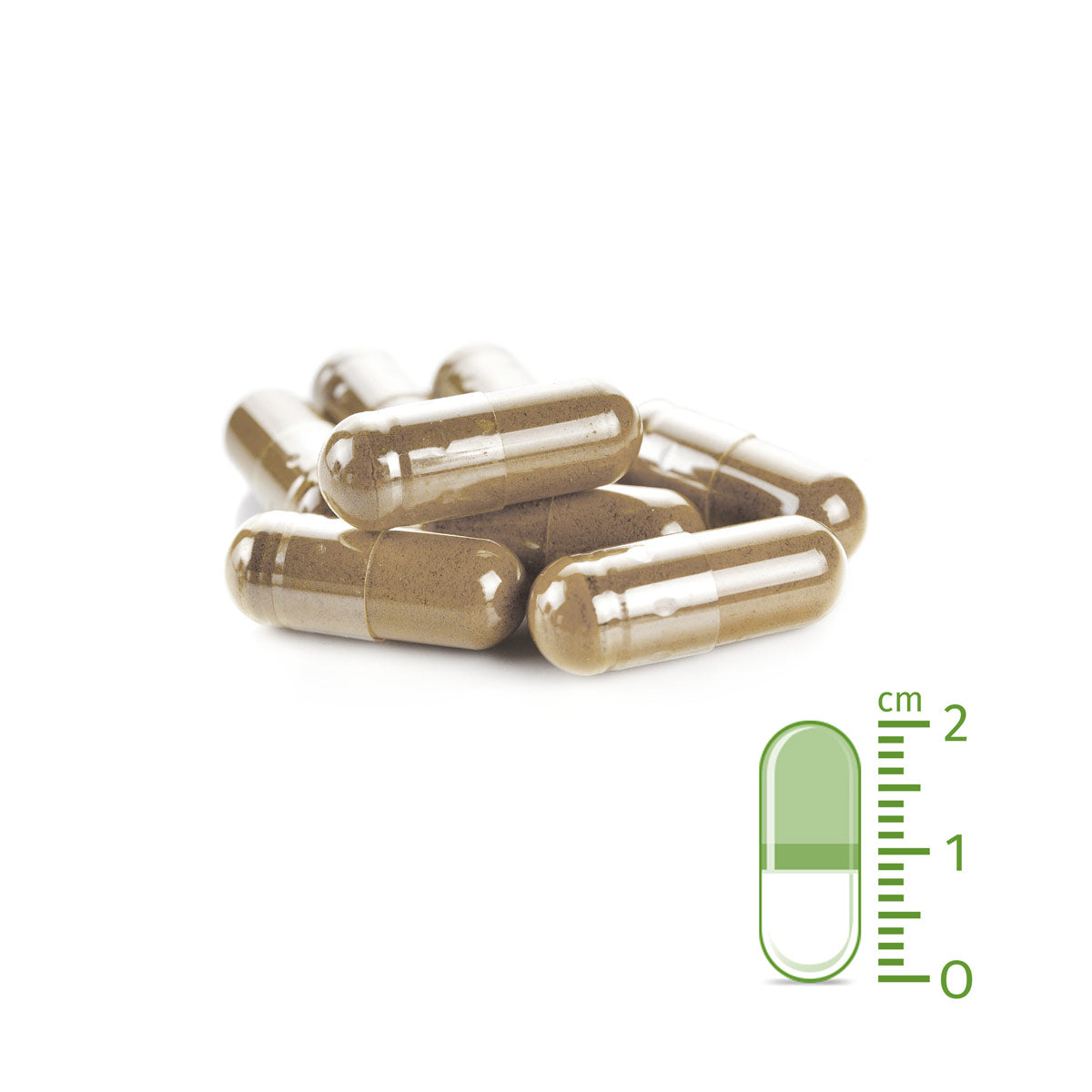 AniForte ZeckenSchild Kapseln bis 10kg 60 Stk