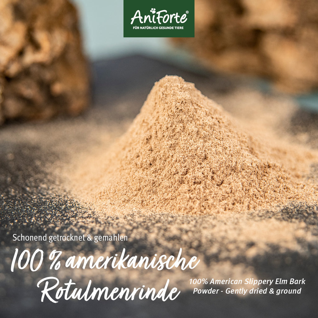AniForte Ulmenrinde Pulver für Hund und Katze 100g
