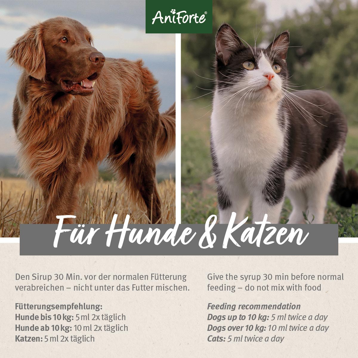 AniForte Ulmenrinde Pulver für Hund und Katze 250g