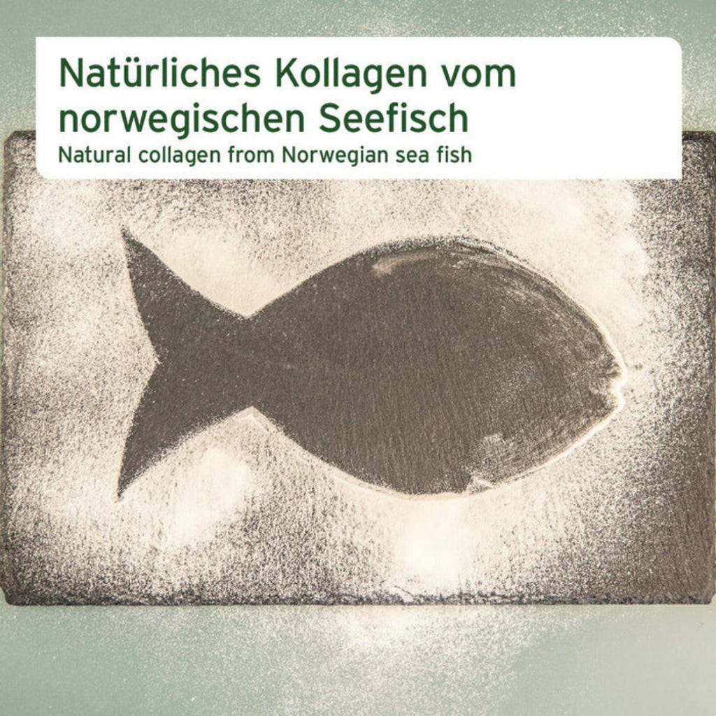 AniForte Kollagen Pulver 450g