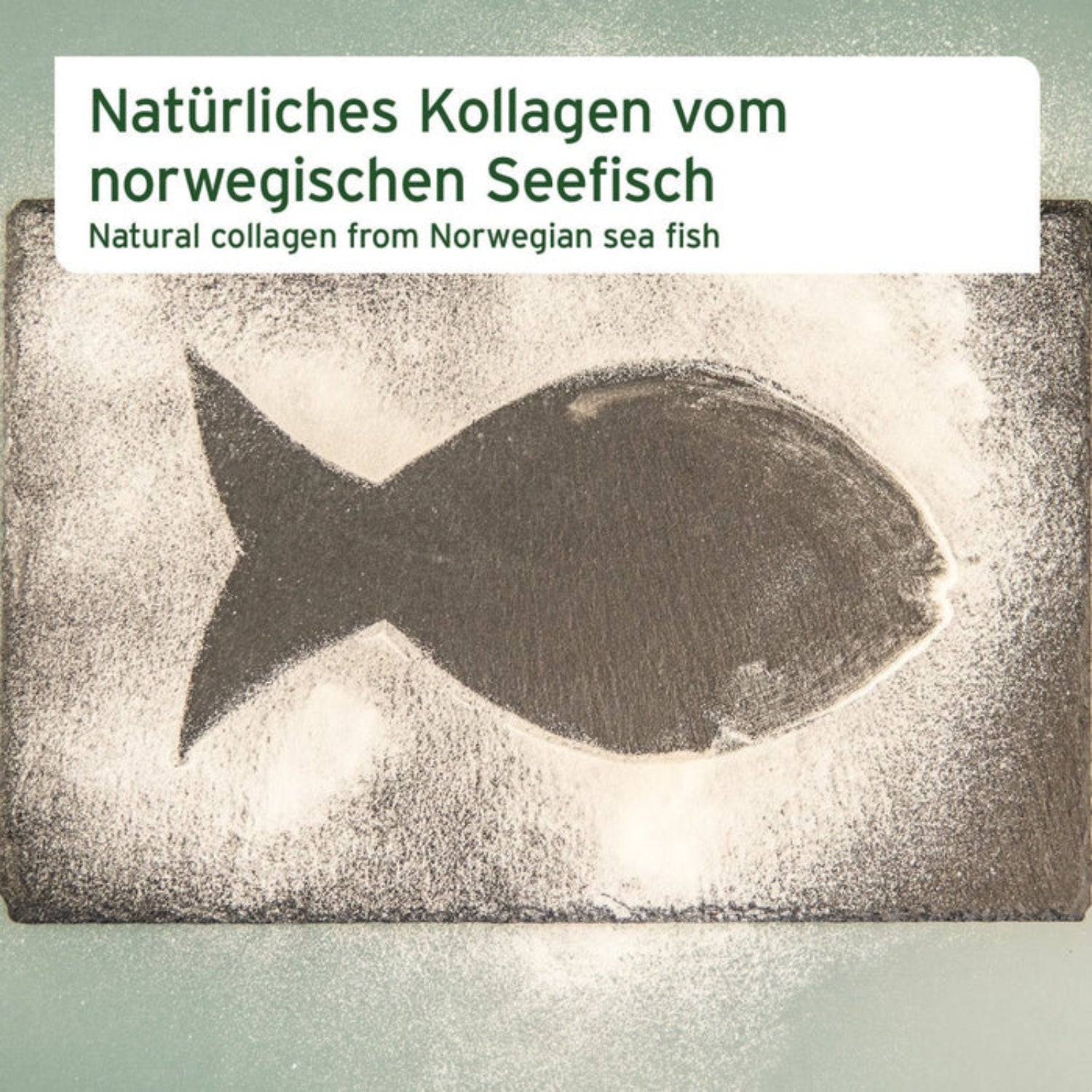 AniForte Kollagen Pulver 450g