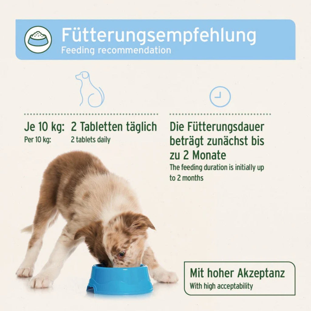 AniForte plus Fell & Haut 90 Tabletten