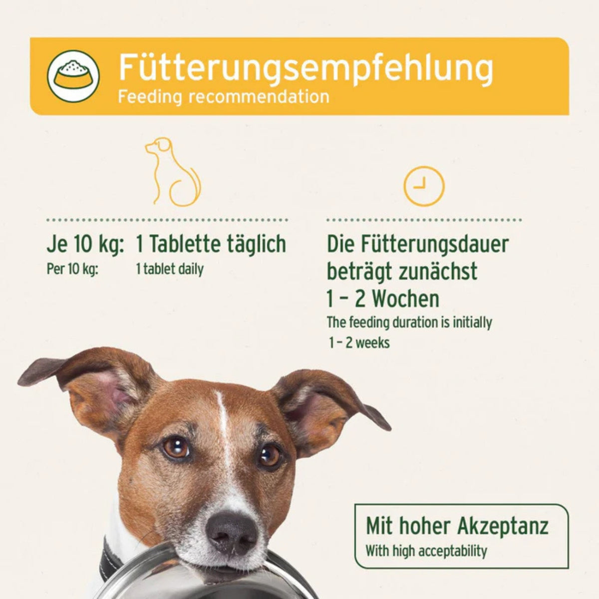 AniForte plus Magen & Darm 90 Tabletten