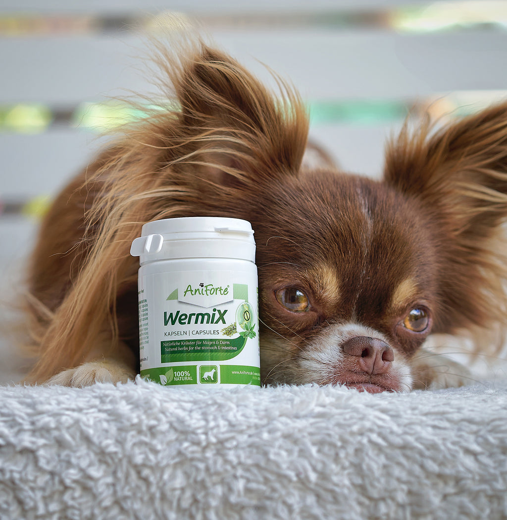 AniForte WermiX Kapseln für Hunde 50 Kapseln