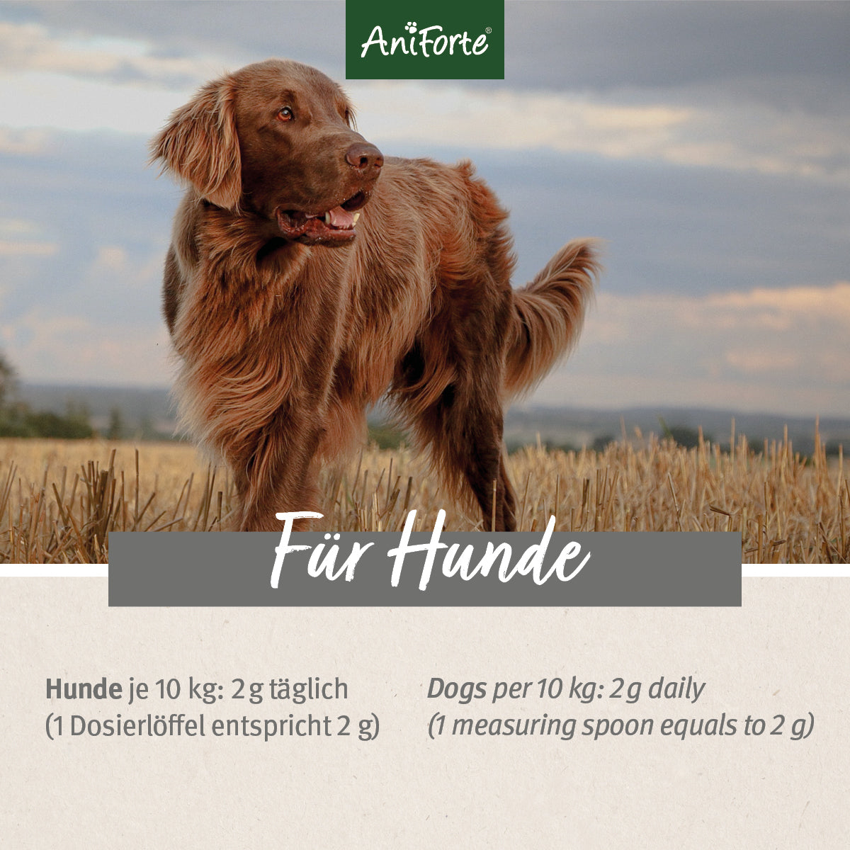 AniForte MagenSanft Pulver 500g
