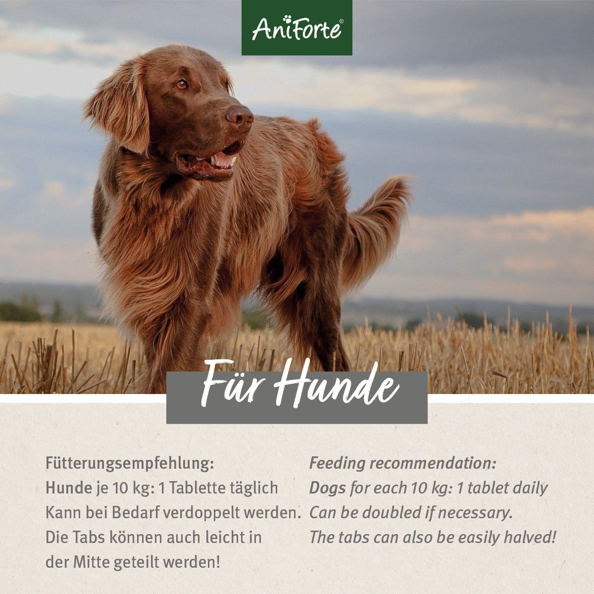 AniForte AgilityVET Gelenktabletten 300 Tabletten