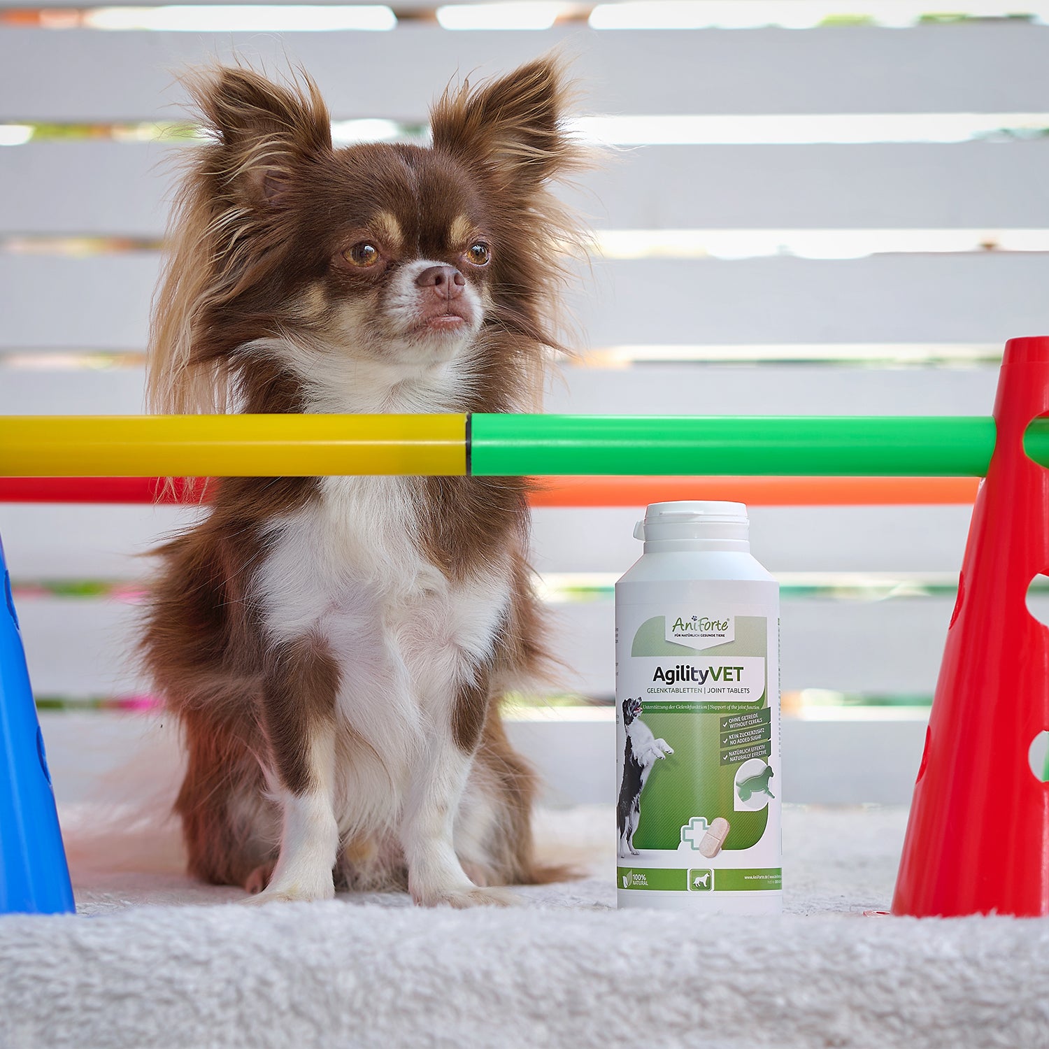 AniForte AgilityVET Gelenktabletten 300 Tabletten