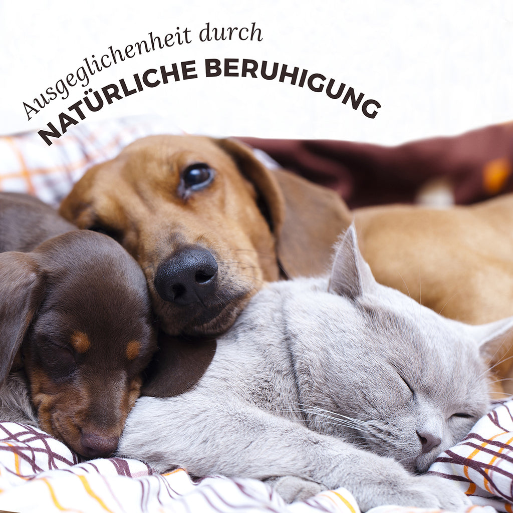 Aniforte Bachblüten Cherry Plum Gelassenheit Globuli 15g