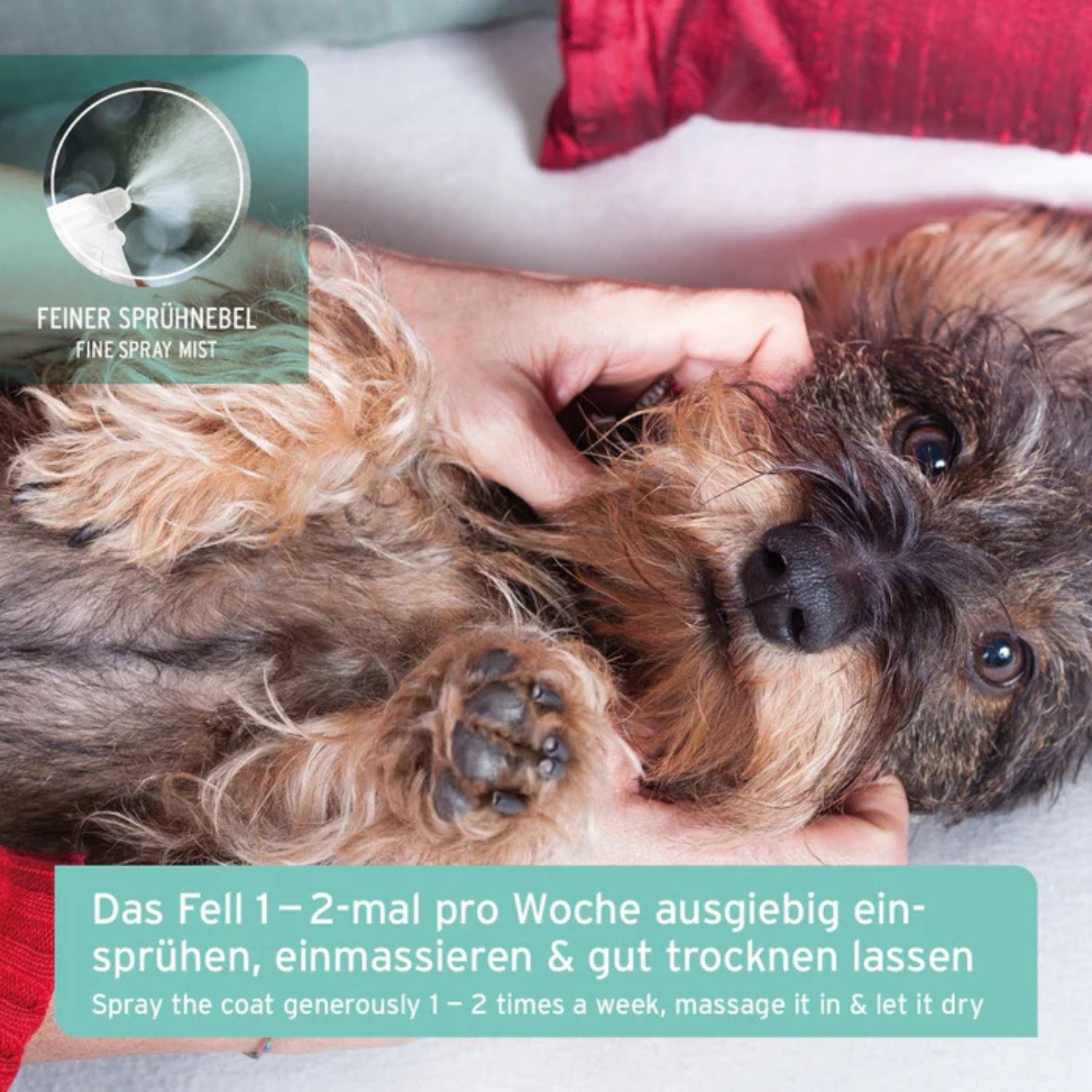Aniforte AniForte® Fellgeruch-STOP 200 ml