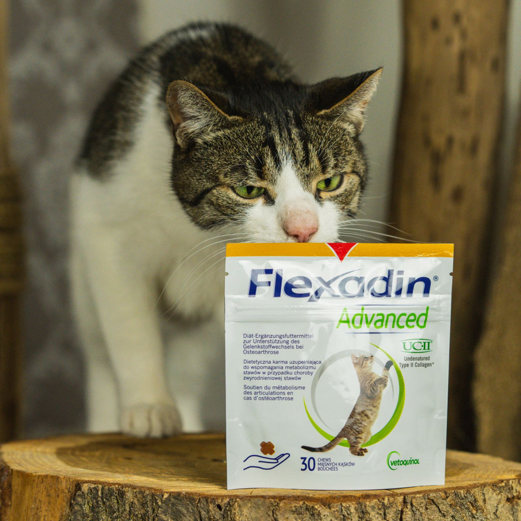 FLEXADIN ADVANCED für Katzen 30 Stück
