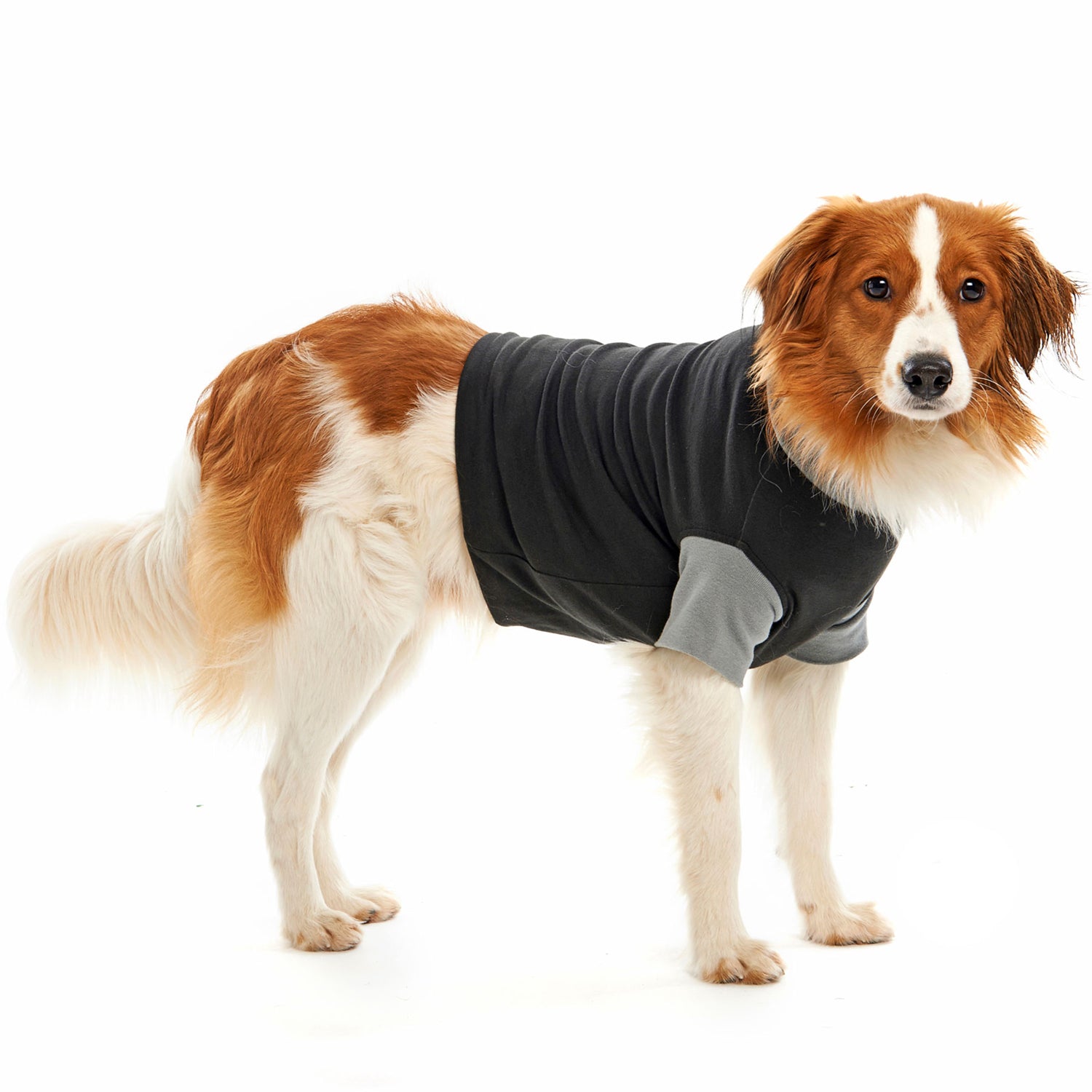 Hundebody Buster Op-Body UNISEX S 42cm