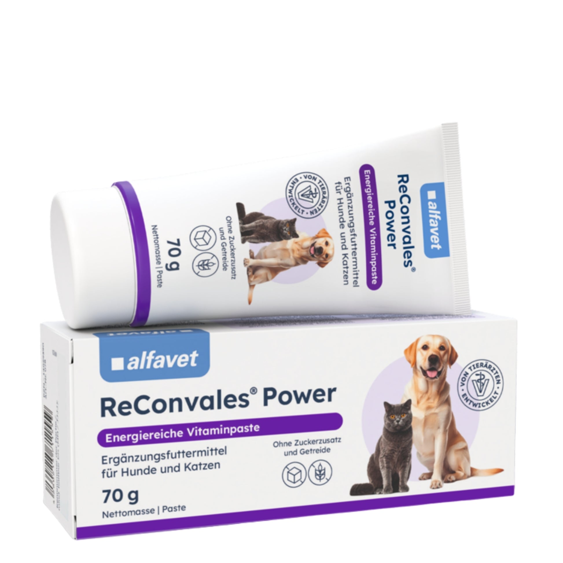ReConvales Power 70g Vitaminpaste Hund Katze MHD 01.09.2026