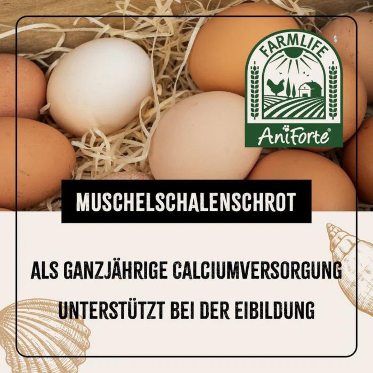 AniForte Farmlife Muschelgrit für Hühner 5000g