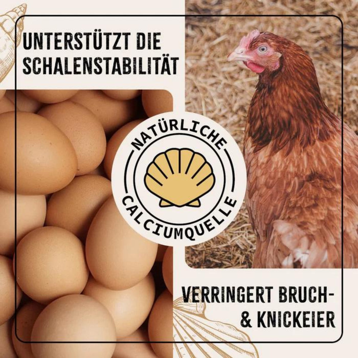 AniForte Farmlife Muschelgrit für Hühner 5000g
