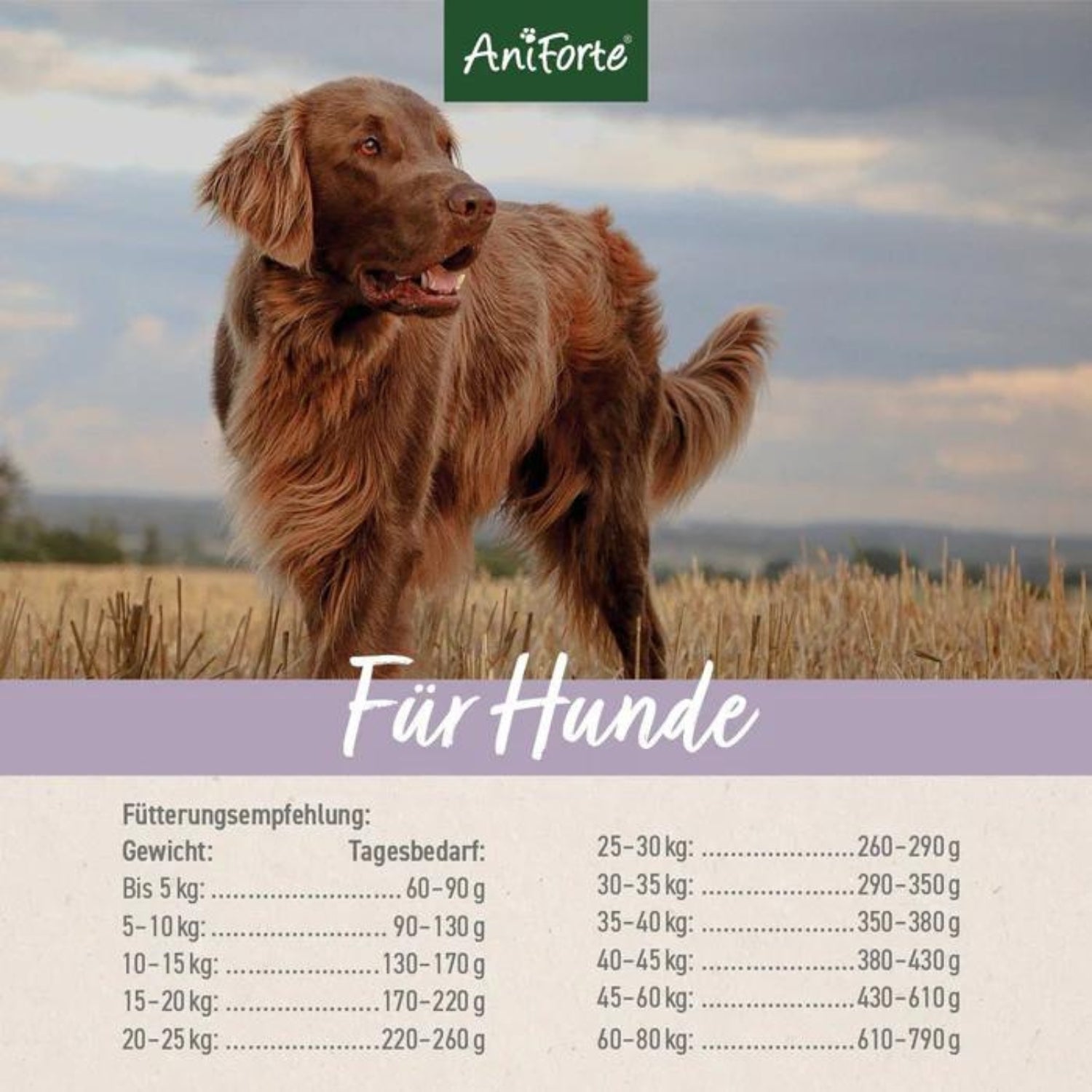 AniForte Trockenfutter FarmsLamb für Hunde 12,5
