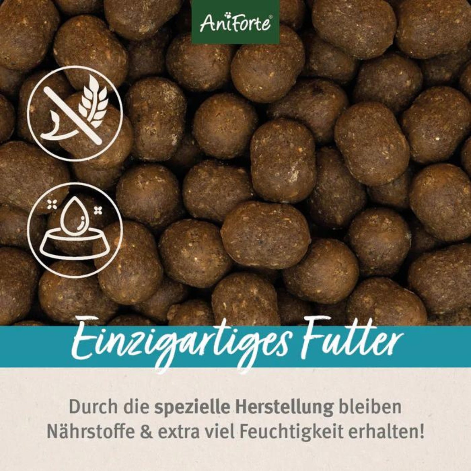 AniForte Trockenfutter FjordSalmon- frischer Lachs mit Kartoffeln für Hunde 12,5kg MHD 01.09.2026