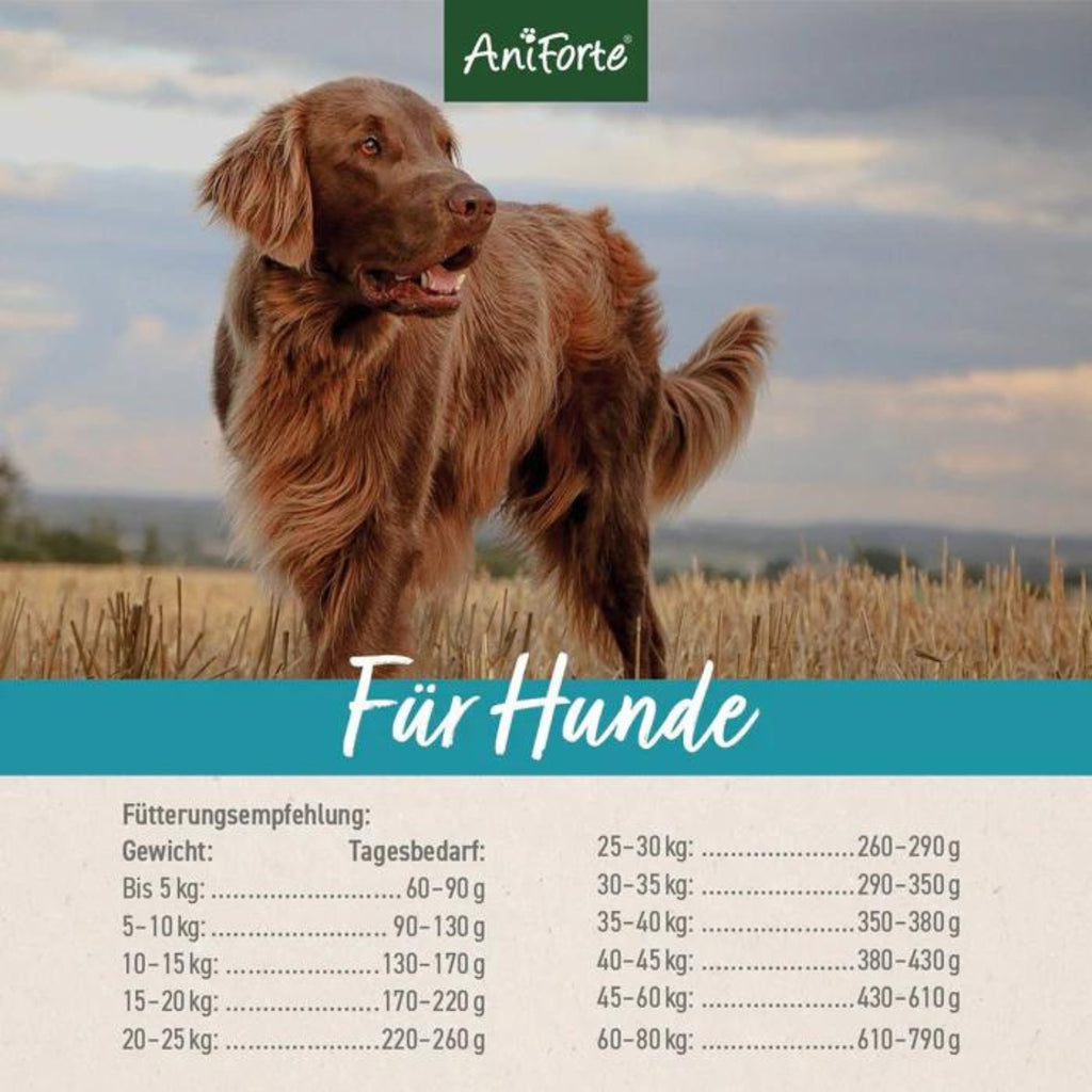 AniForte Trockenfutter FjordSalmon - Frischer Lachs mit Kartoffeln  für Hunde 2kg