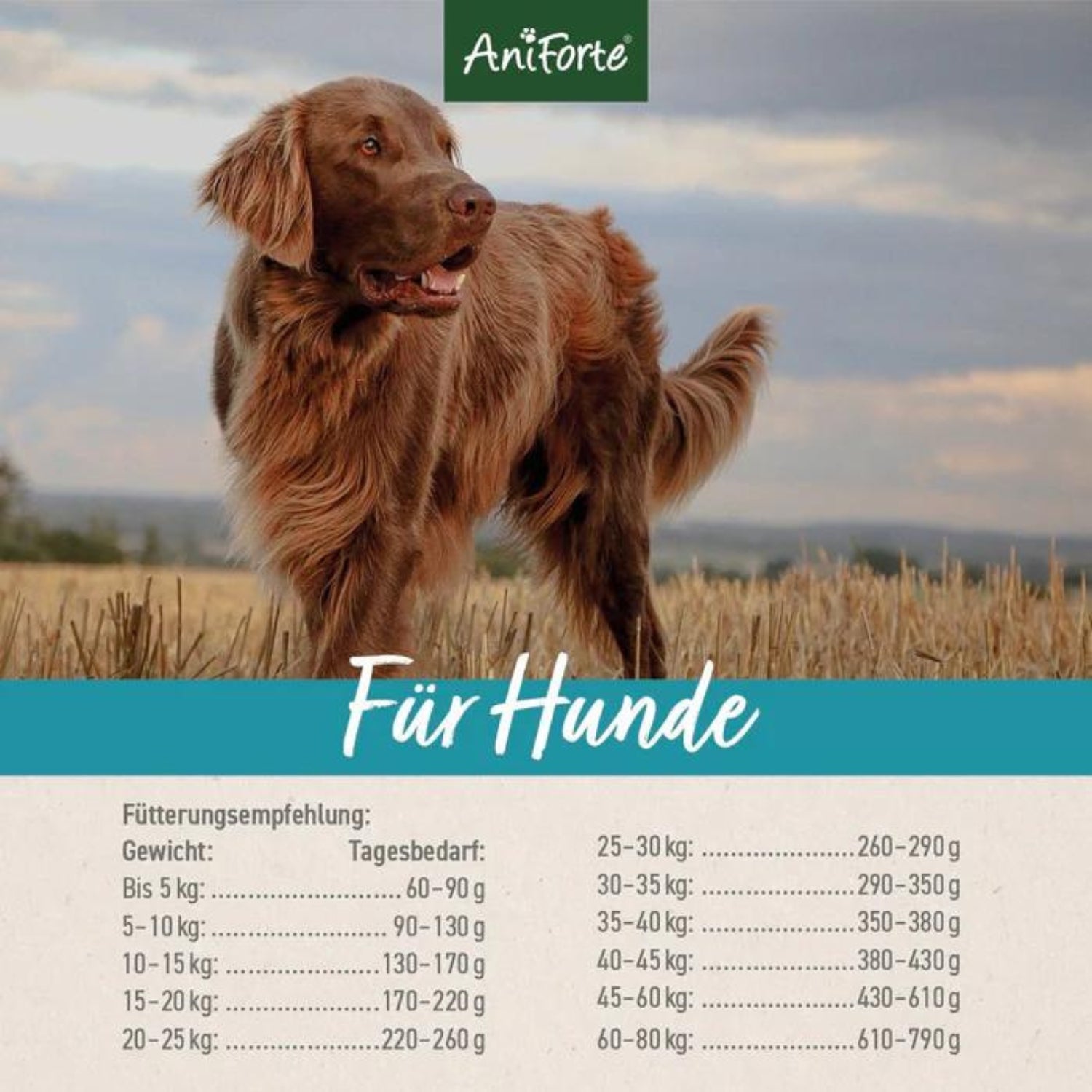 AniForte Trockenfutter FjordSalmon - Frischer Lachs mit Kartoffeln  für Hunde 2kg