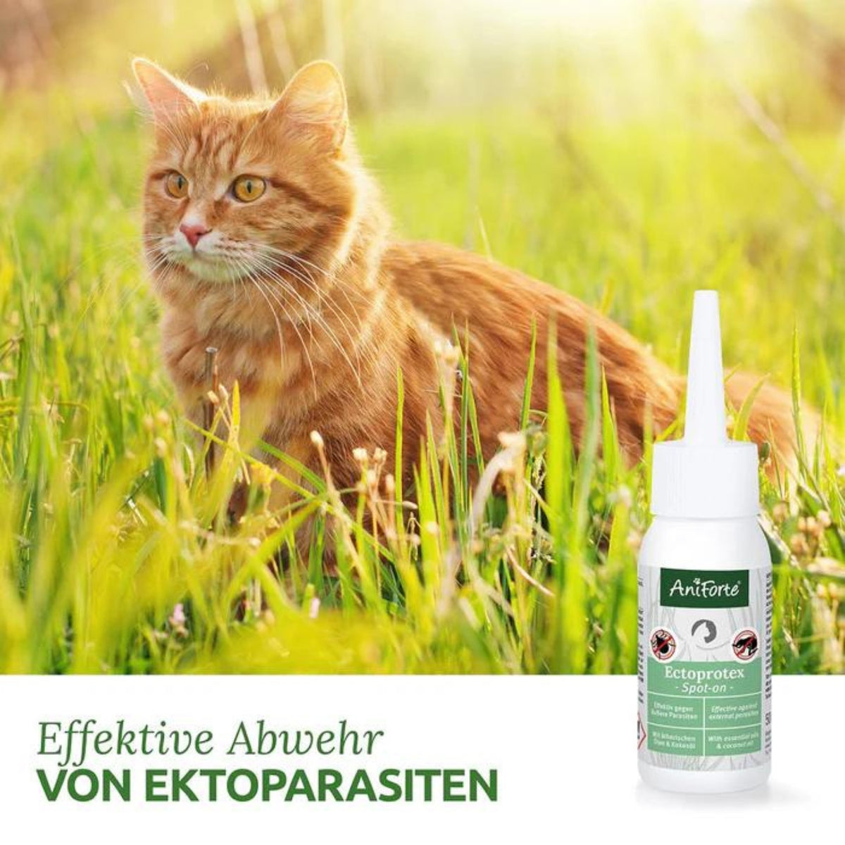 AniForte Ectoprotex Spot-on für Katzen 50ml