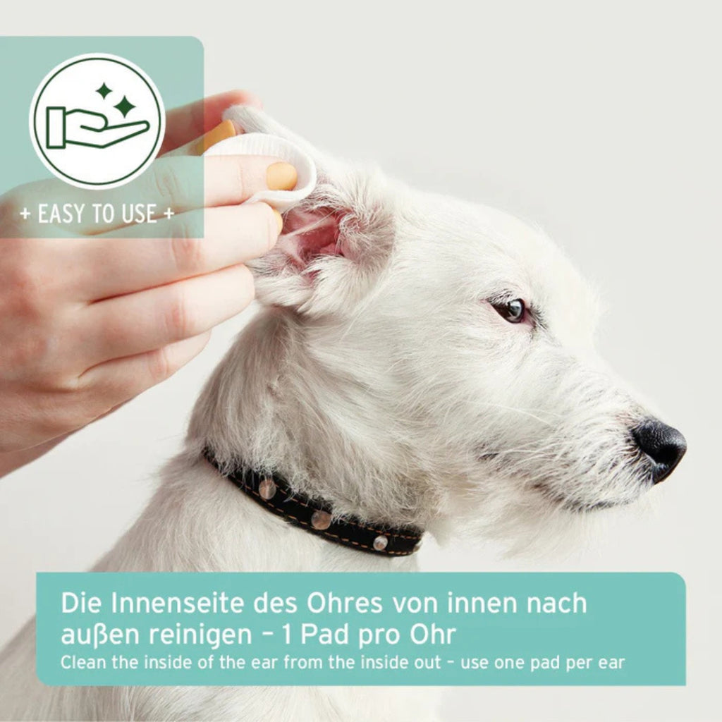 33337AFO-K – Bild 2