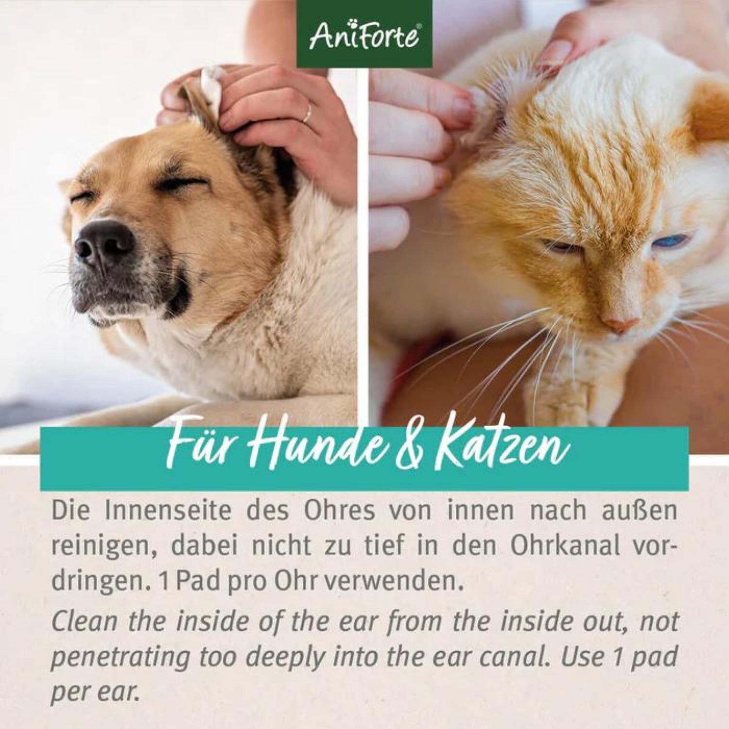 33337AFO-K – Bild 4