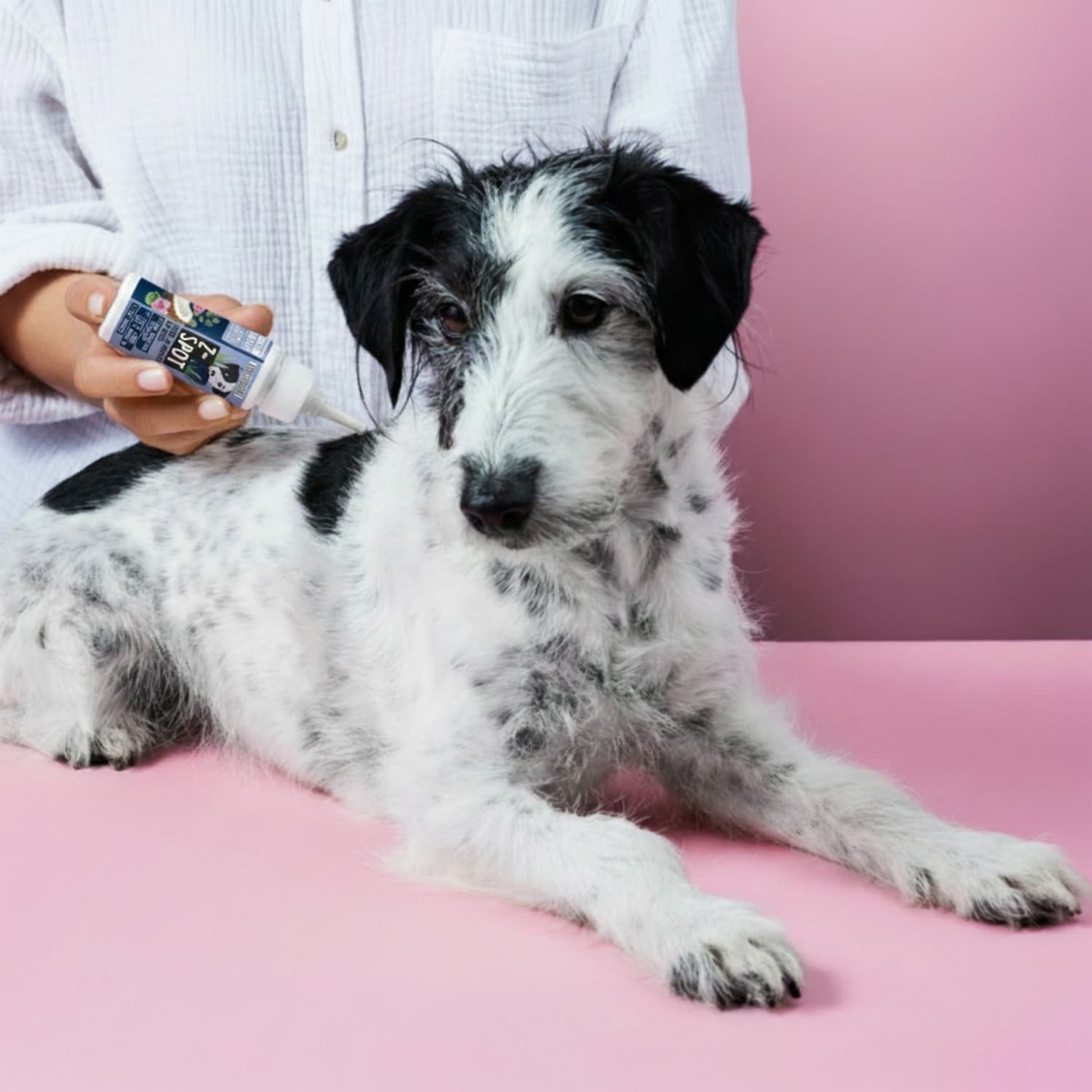 Tierliebhaber Z-Spot für Hunde 50 ml