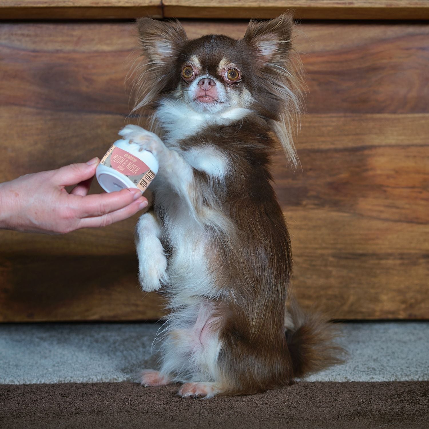 Tierliebhaber Pfoten- & Nasenbalsam für Hunde 50ml