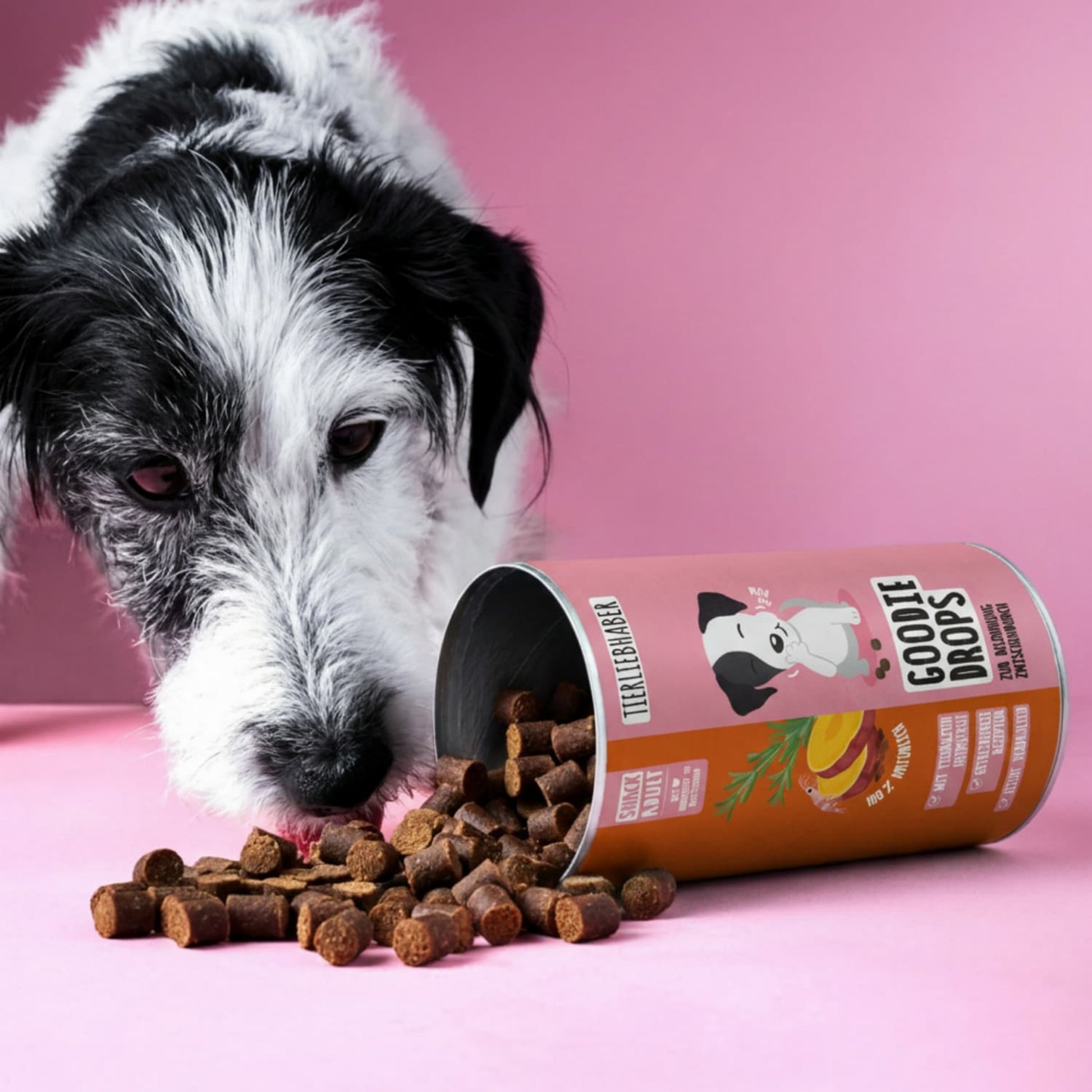 Tierliebhaber Goodie Drops für Hunde 250 g