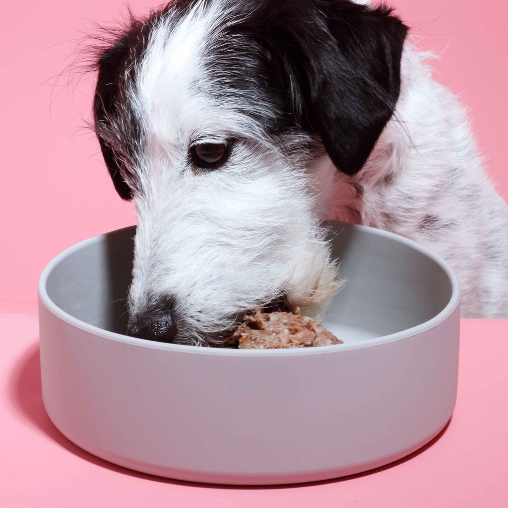 Tierliebhaber Lieblingsfutter Enten Menü für Hunde 400 g
