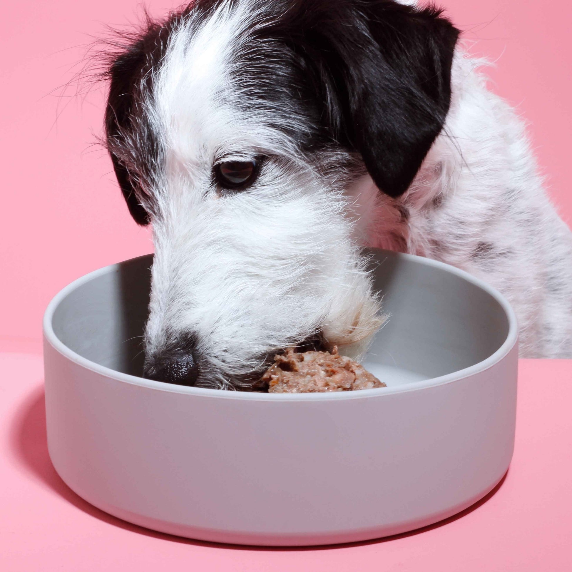 Tierliebhaber Lieblingsfutter Enten Menü für Hunde 400 g