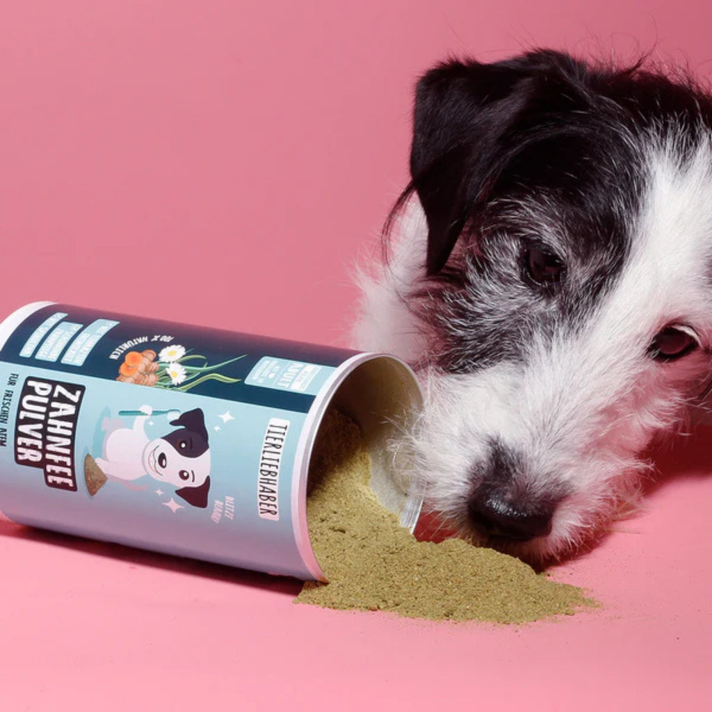 Tierliebhaber Zahnfee- Pulver für Hunde 200g