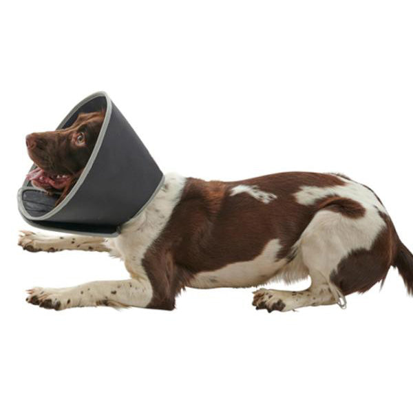 Dechra Halskragen Foam Collar 10cm