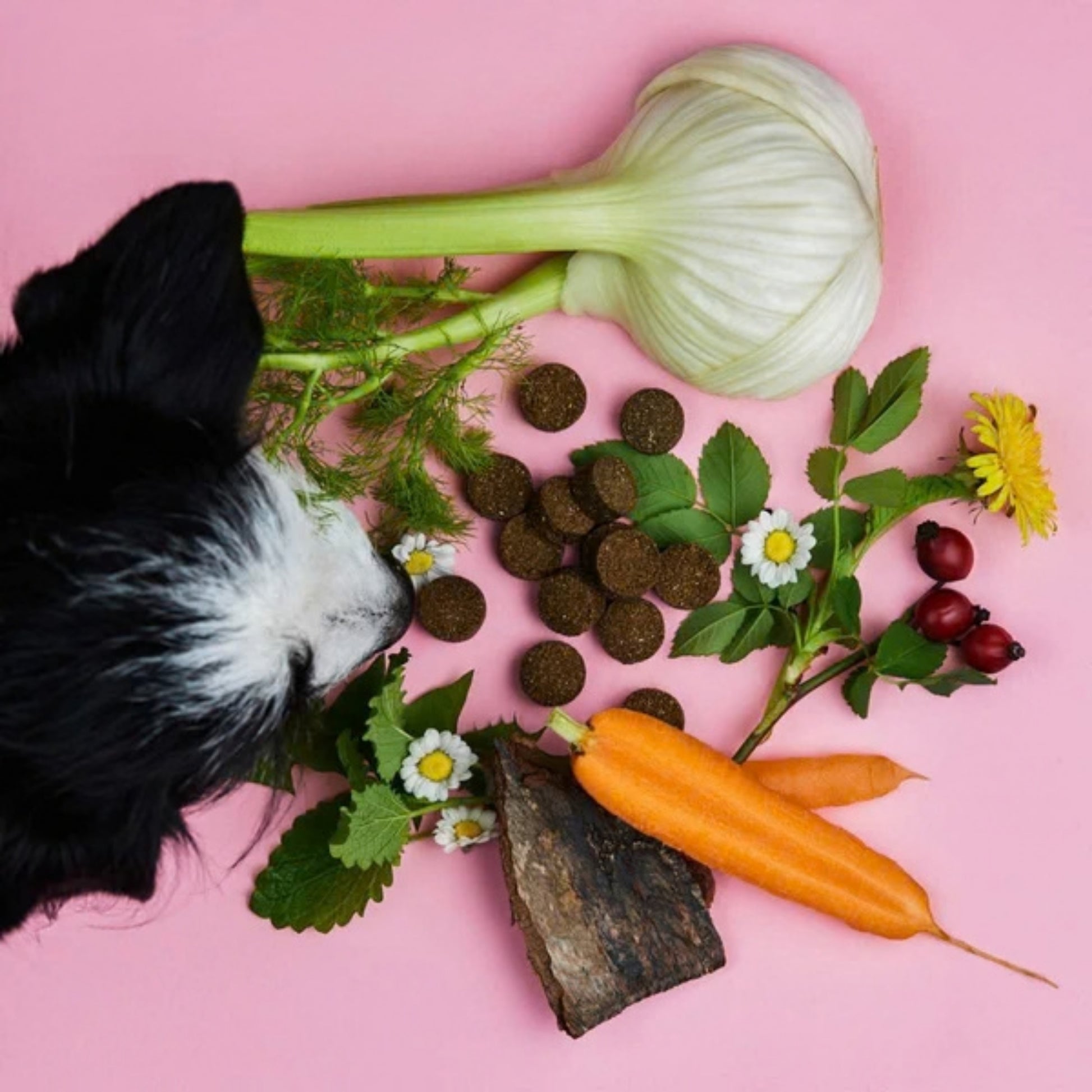 Tierliebhaber Gras & Kotfresser Drops für Hunde 350g