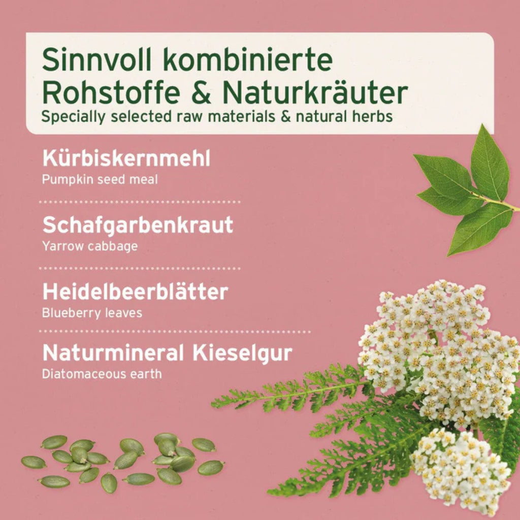 AniForte Blasen-Formel für Hund Pulver 100g