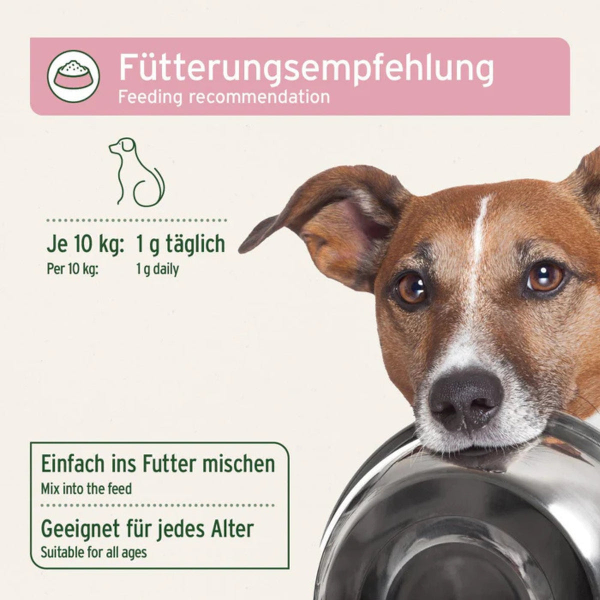 AniForte Blasen-Formel für Hund Pulver 100g