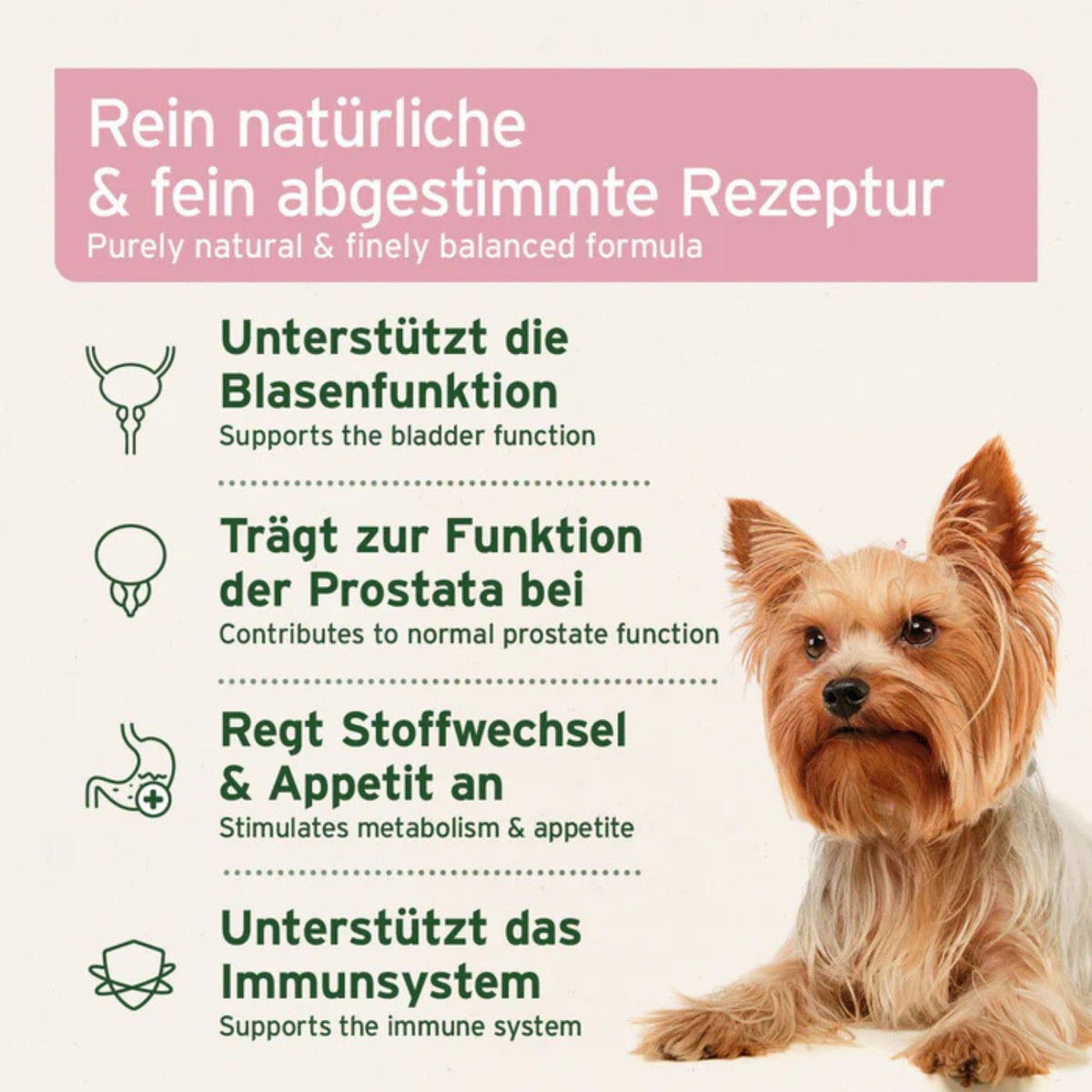 AniForte Blasen-Formel für Hund Pulver 100g