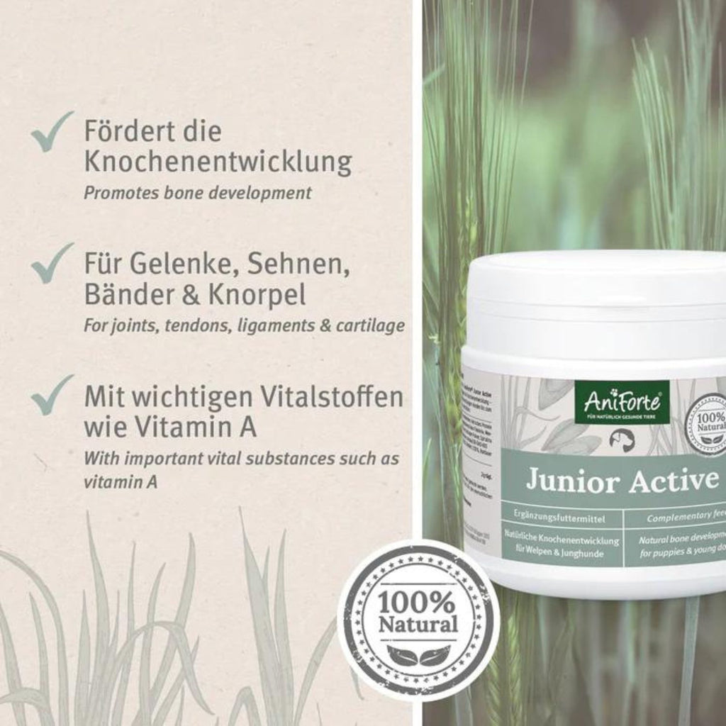 AniForte Junior Active Pulver für Hund 250g