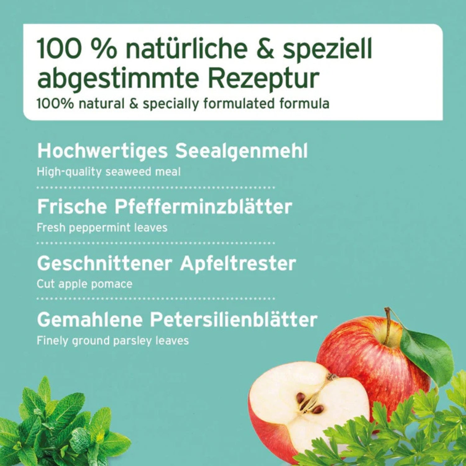 AniForte Denta Clean & Care Pulver für Hund und Katze 80g