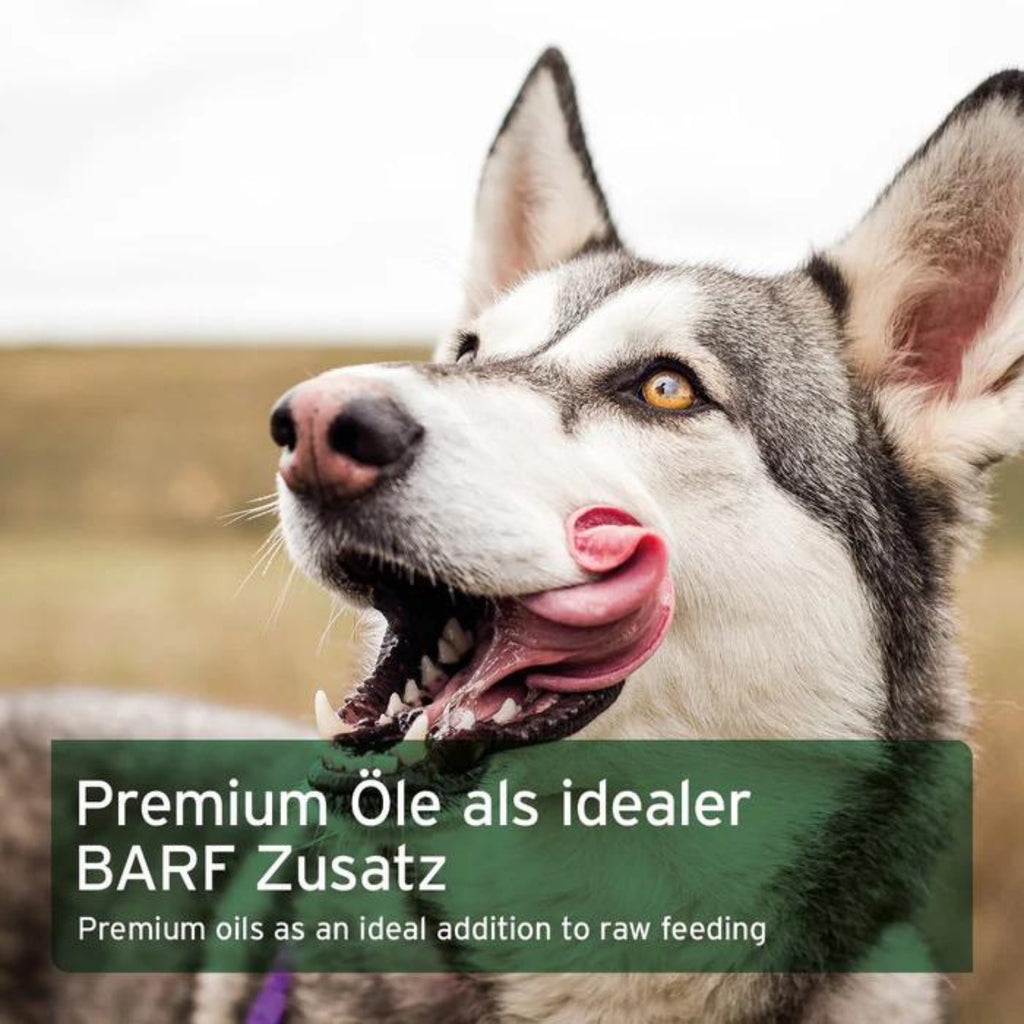 AniForte BARF-Line Premium Futteröl für Hund 500ml