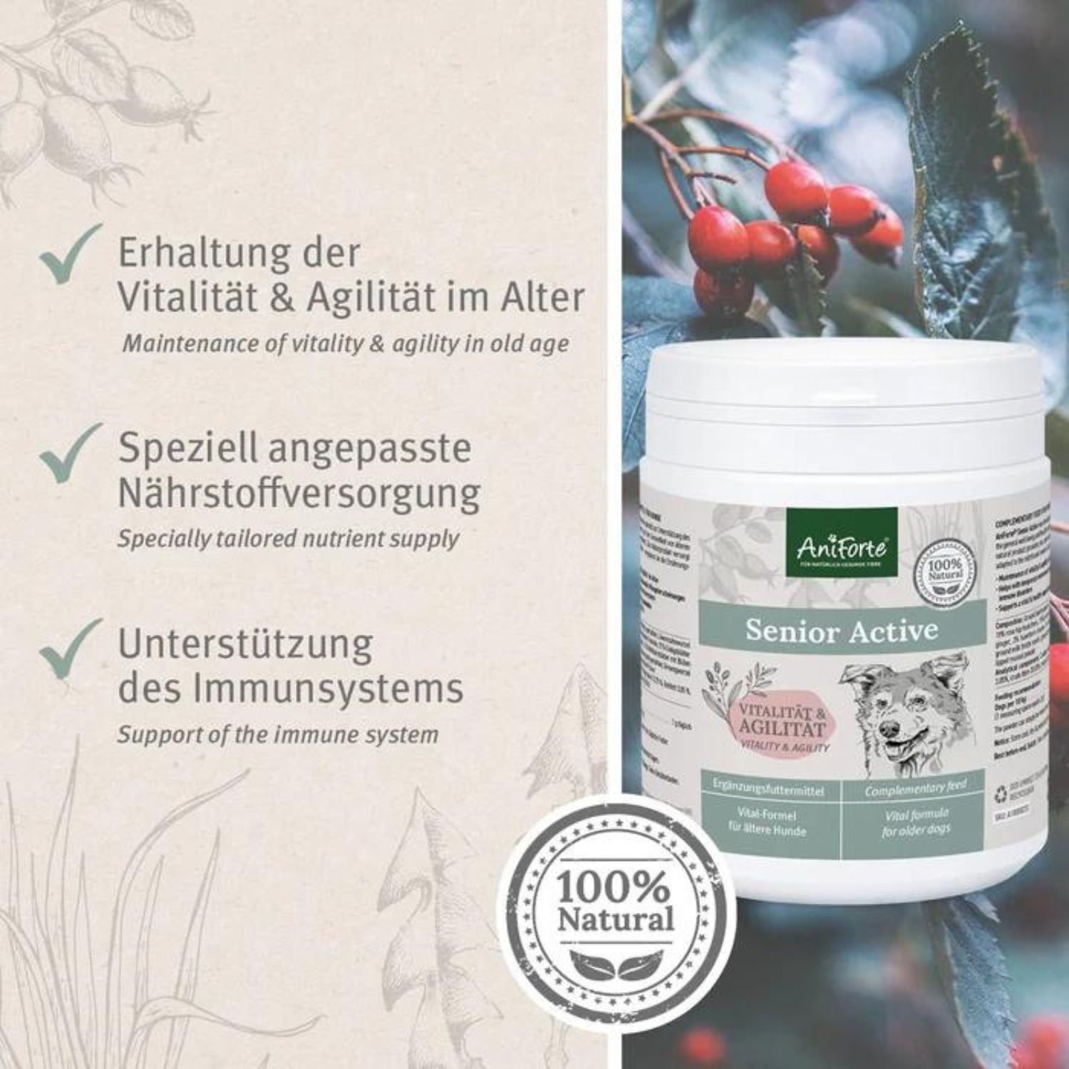 AniForte Senior Active für Hunde 250g