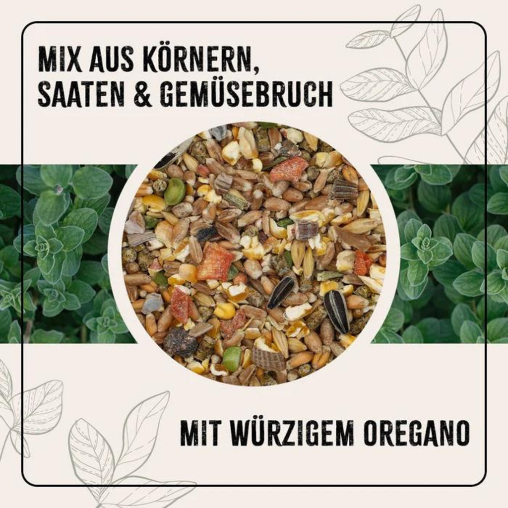 33722-K2 – Bild 1