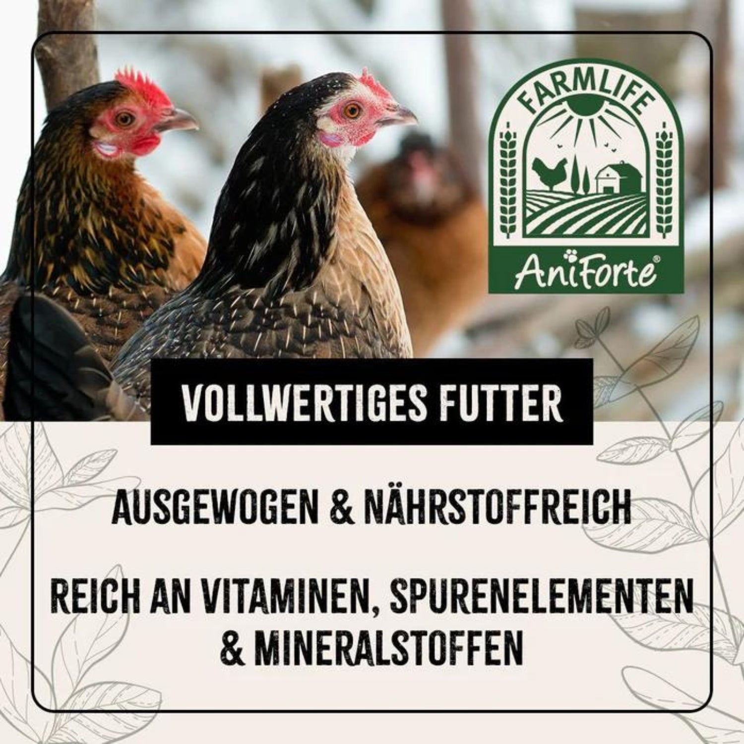 33722-K2 – Bild 2