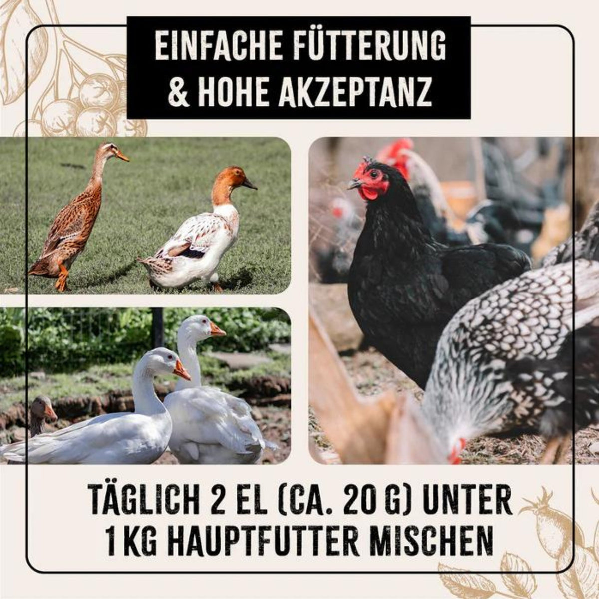 AniForte FarmLife Geflügel VitalMix Pulver 500g