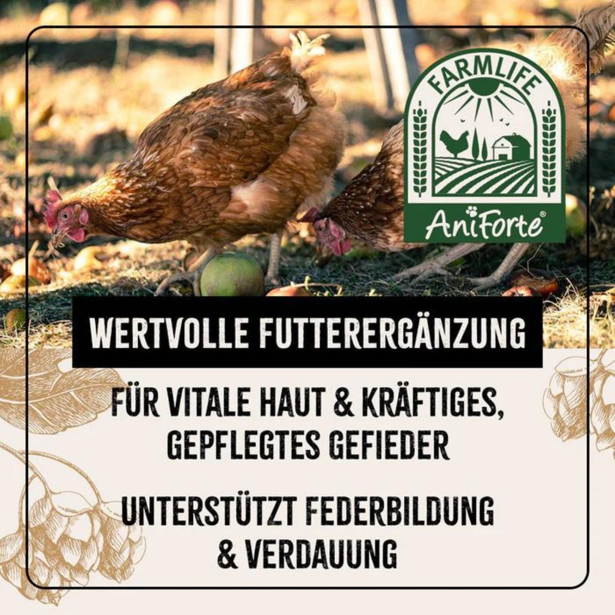 AniForte FarmLife Geflügel Bierhefe Spezial-Mix 1000g