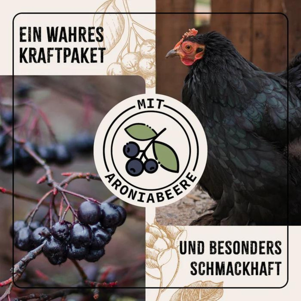 AniForte FarmLife Geflügel Bierhefe Spezial-Mix 1000g